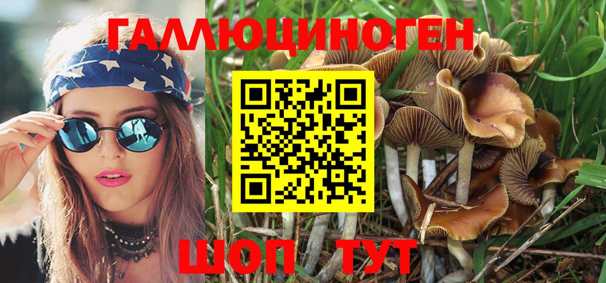 Псилоцибиновые грибы Psilocybine cubensis Кумертау